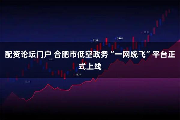 配资论坛门户 合肥市低空政务“一网统飞”平台正式上线