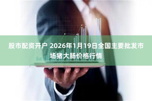 股市配资开户 2026年1月19日全国主要批发市场猪大肠价格行情