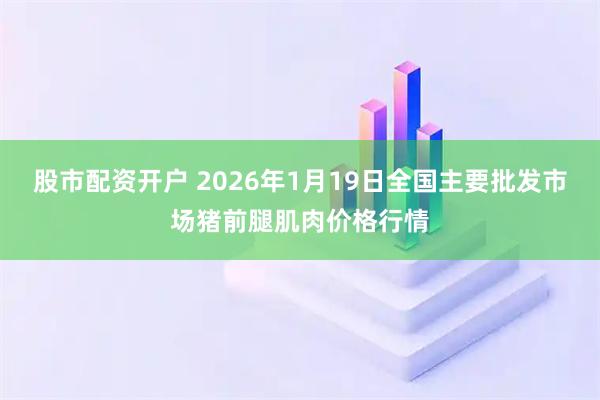 股市配资开户 2026年1月19日全国主要批发市场猪前腿肌肉价格行情