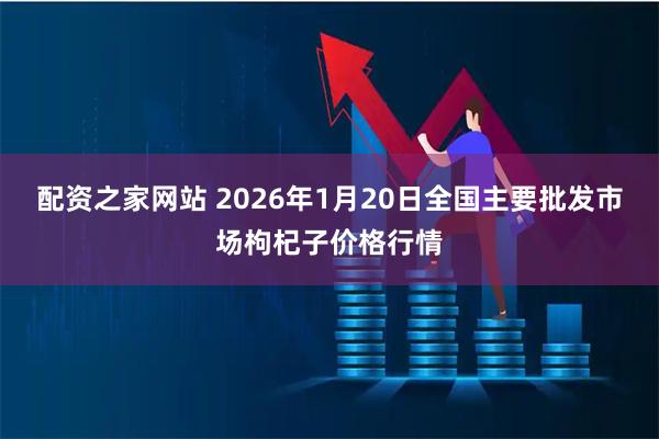 配资之家网站 2026年1月20日全国主要批发市场枸杞子价格行情