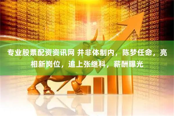 专业股票配资资讯网 并非体制内，陈梦任命，亮相新岗位，追上张继科，薪酬曝光